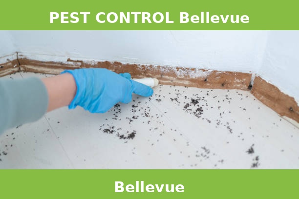 PEST CONTROL Bellevue
